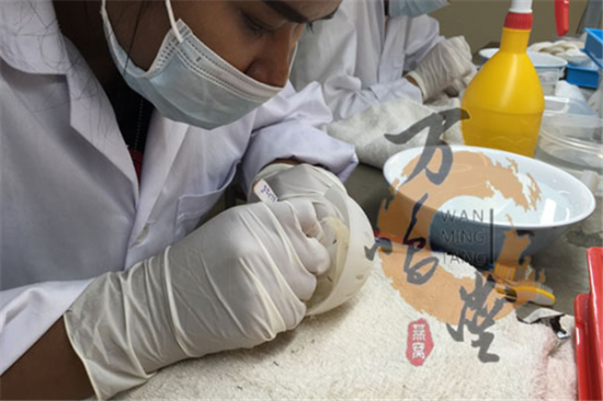 万鸣堂燕窝加盟产品图片