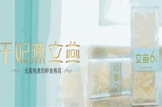 千妃燕燕窝加盟