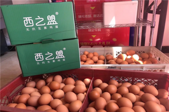 西之盟加盟
