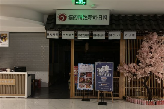 猫的精致寿司加盟