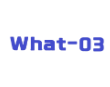 what03奶茶加盟