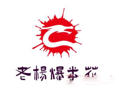广州市老杨食品有限公司